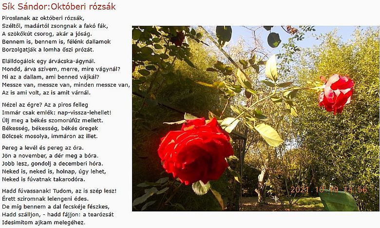 https://margit2.hu/forumba-kepek/284-siksandor-oktoberi-rozsak.jpg
