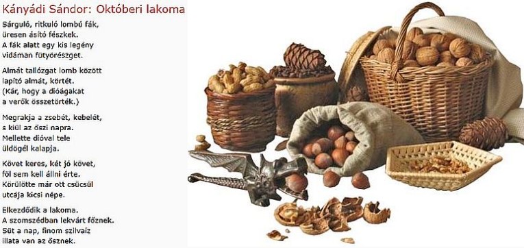 https://margit2.hu/forumba-kepek/288-kanyadi-sandor-oktoberilakoma.jpg