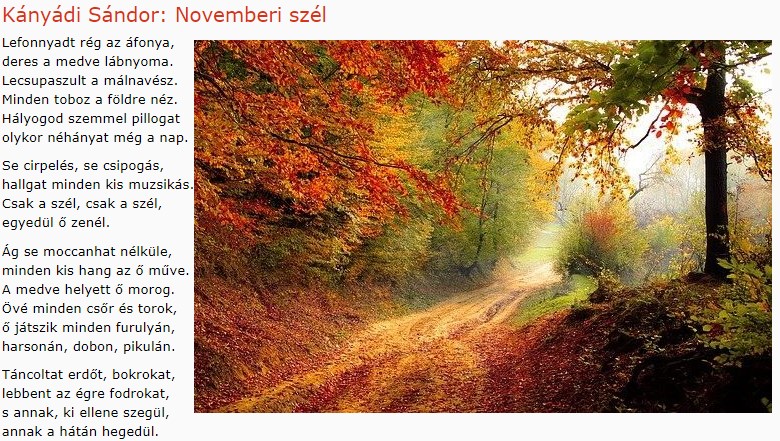 https://margit2.hu/forumba-kepek/291-kanyadi-sandor-novemberi-szel.jpg