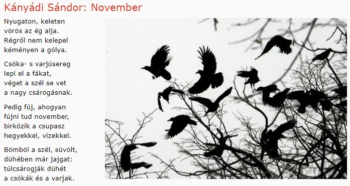 https://margit2.hu/forumba-kepek/296-kanyadi-sandor-november.jpg