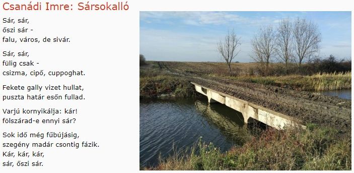 https://margit2.hu/forumba-kepek/297-csanadi-imre-sarsokallo.jpg
