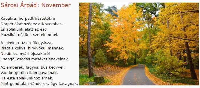 https://margit2.hu/forumba-kepek/300-sarosi-arpad-november.jpg