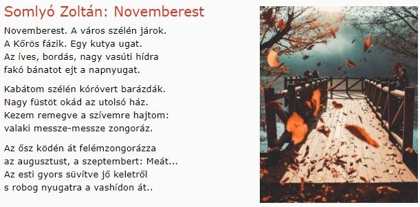 https://margit2.hu/forumba-kepek/301-somlyo-zoltan-novemberest.jpg