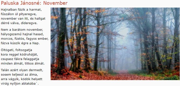 https://margit2.hu/forumba-kepek/304-paluska-janosne-november.jpg