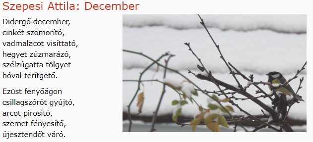 https://margit2.hu/forumba-kepek/309-szepesi-attila-december.jpg