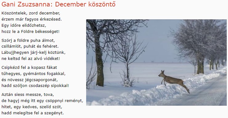 https://margit2.hu/forumba-kepek/312-gani-zsuzsanna-december-koszonto.jpg