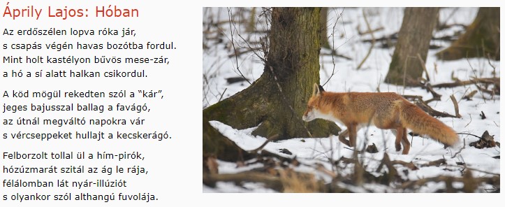 https://margit2.hu/forumba-kepek/313-aprily-lajos-hoban.jpg