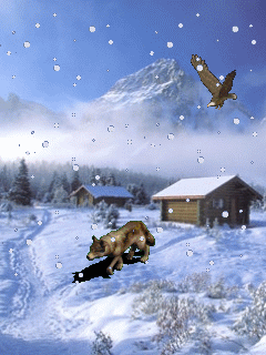 https://margit2.hu/forumba-kepek/314-farkas.gif