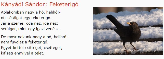 https://margit2.hu/forumba-kepek/315-kanyadi-sandor-feketerigo.jpg