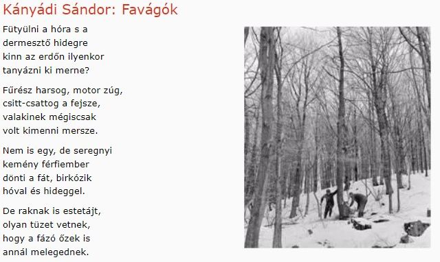 https://margit2.hu/forumba-kepek/324-kanyadi-sandor-favagok.jpg