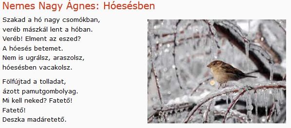https://margit2.hu/forumba-kepek/335-nemes-nagy-agnes-hoesesben.jpg