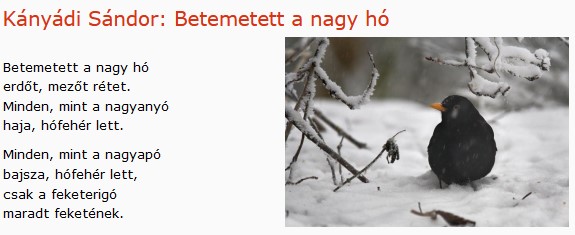 https://margit2.hu/forumba-kepek/336-kanyadi-sandor-betemetett-a-nagy-ho.jpg