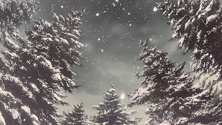 https://margit2.hu/forumba-kepek/338-hoeses.gif