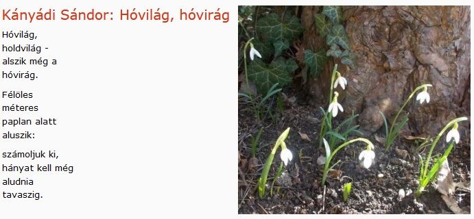 https://margit2.hu/forumba-kepek/346-kanyadi-sandor-hovirag-hovirag.jpg