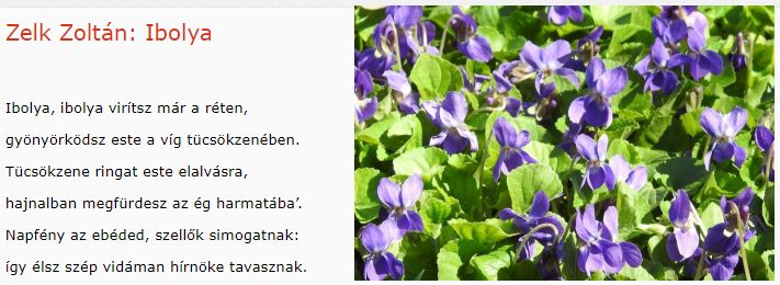 https://margit2.hu/forumba-kepek/351-zelk-zoltan-ibolya.jpg
