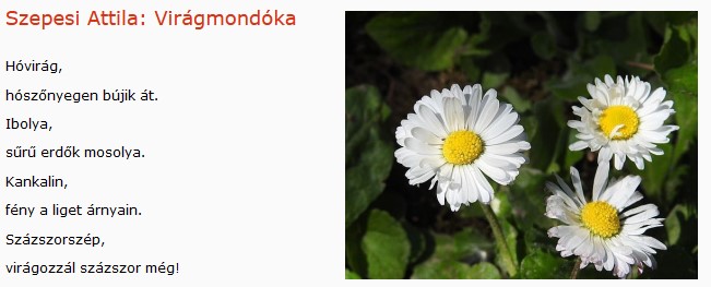 https://margit2.hu/forumba-kepek/352-szepesi-attila-viragmondoka.jpg