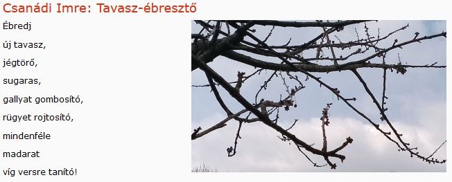 https://margit2.hu/forumba-kepek/354-csanadi-imre-tavaszebreszto.jpg