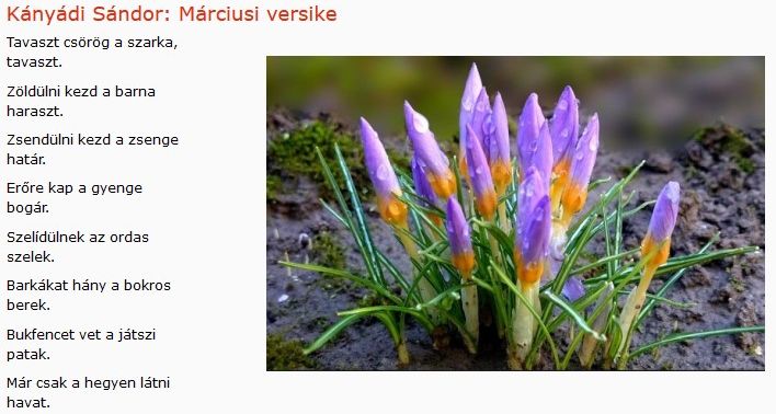 https://margit2.hu/forumba-kepek/355-kanyadi-sandor-marciusi-versike.jpg