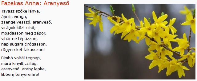 https://margit2.hu/forumba-kepek/367-fazekas-anna-aranyeso.jpg