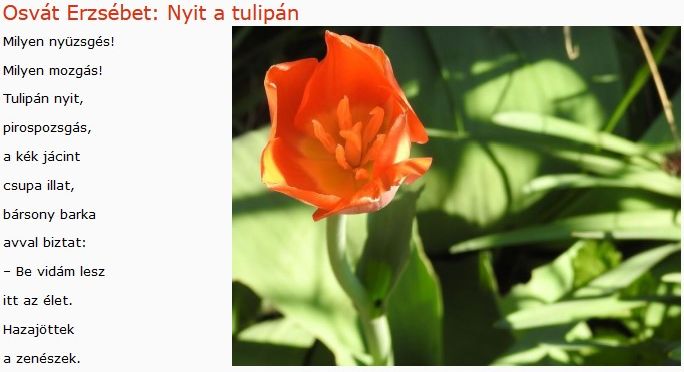 https://margit2.hu/forumba-kepek/369-osvat-erzsebet-nyit-a-tulipan.jpg