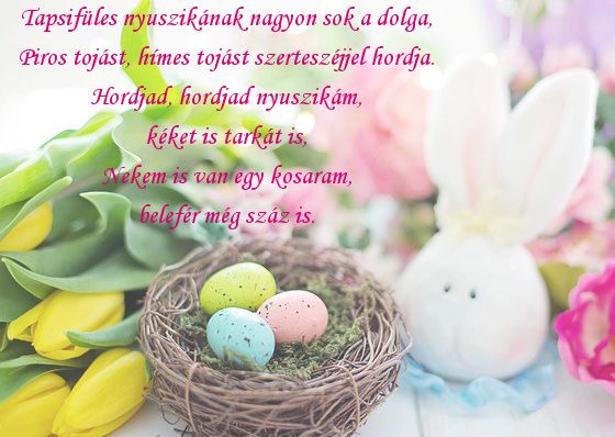 https://margit2.hu/forumba-kepek/373-tapsifules.jpg
