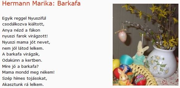 https://margit2.hu/forumba-kepek/374-hermann-marika-barkafa.jpg