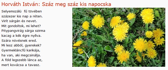 https://margit2.hu/forumba-kepek/376-horvath-istvan-szaz-meg-szaz.jpg