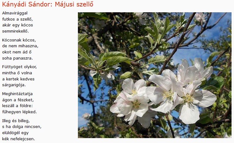 https://margit2.hu/forumba-kepek/382-kanyadi-sandor-majusi-szello.jpg