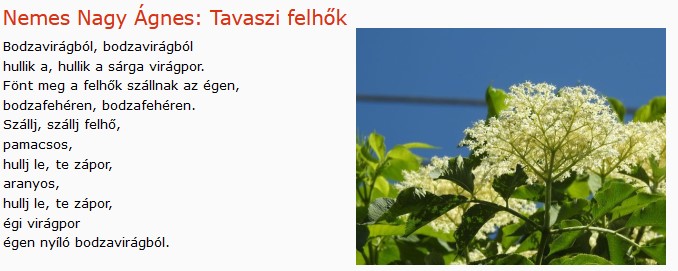 https://margit2.hu/forumba-kepek/389-nemes-nagy-agnes-tavaszi-felhok.jpg
