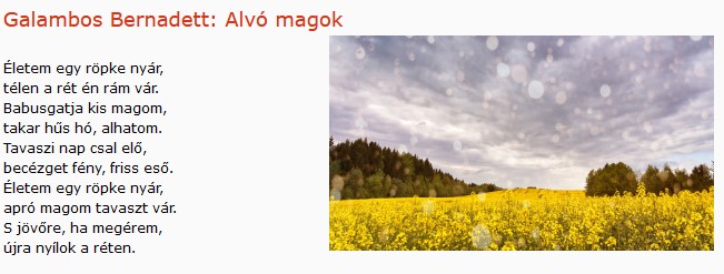 https://margit2.hu/forumba-kepek/393-galambos-bernadett-alvo-magok.jpg