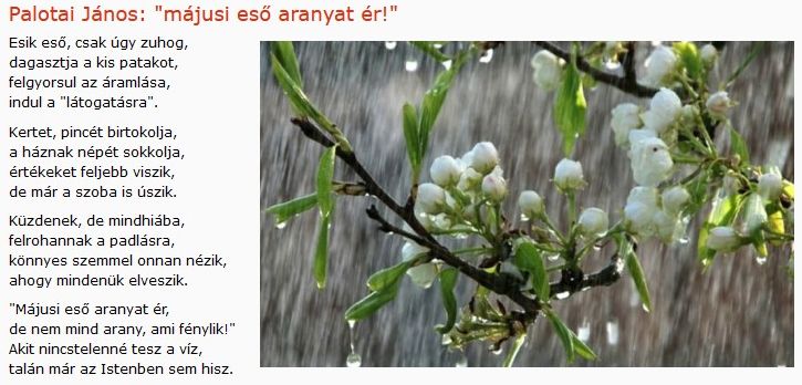 https://margit2.hu/forumba-kepek/394-palotai-janos-majusieso-aranyater.jpg