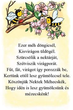 https://margit2.hu/forumba-kepek/396-.jpg
