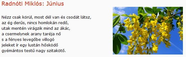 https://margit2.hu/forumba-kepek/398-radnoti-miklos-junius.jpg