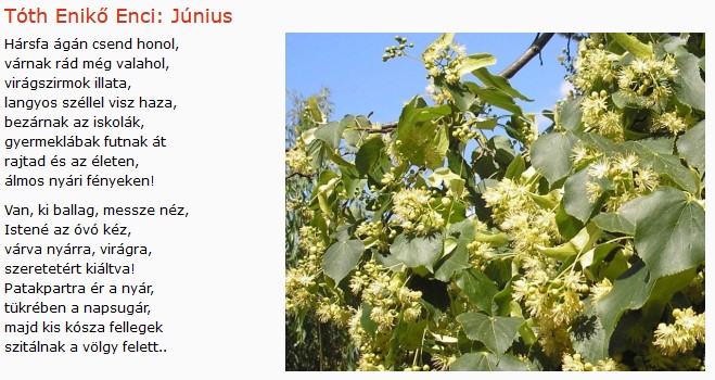 https://margit2.hu/forumba-kepek/399-toth-eniko-enci-junius.jpg