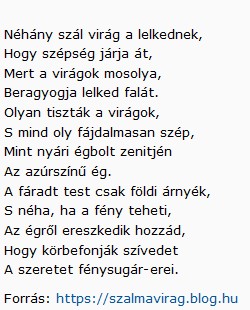 https://margit2.hu/forumba-kepek/403-lovas-eva-nehany-szal-virag.jpg