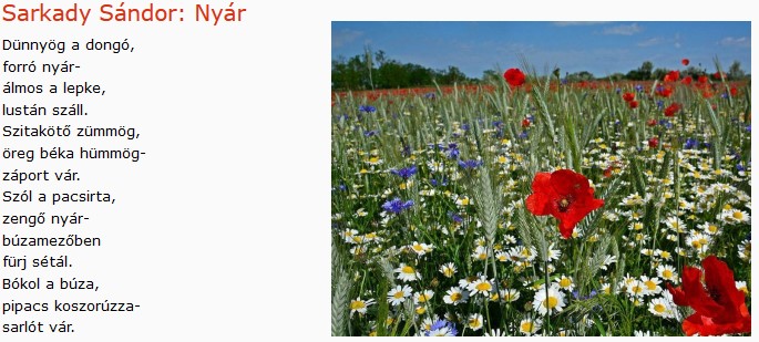 https://margit2.hu/forumba-kepek/409-sarkady-sandor-nyar.jpg