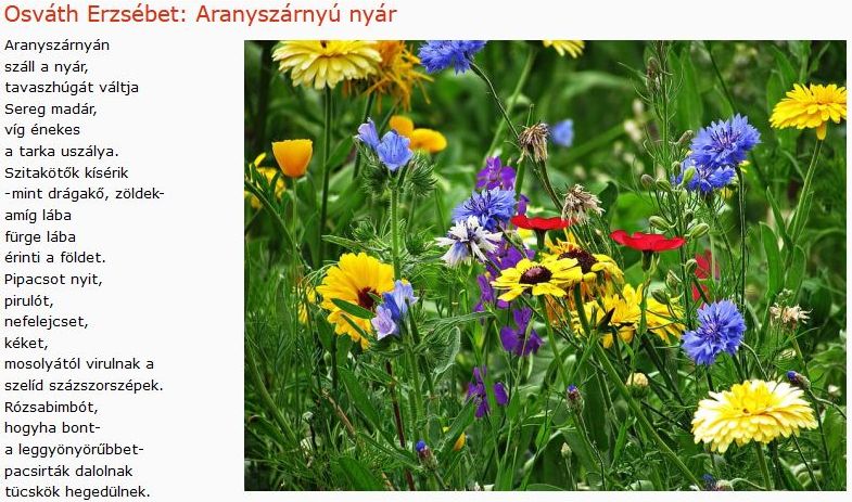 https://margit2.hu/forumba-kepek/412-osvath-erzsebet-aranyszarnyu-nyar.jpg