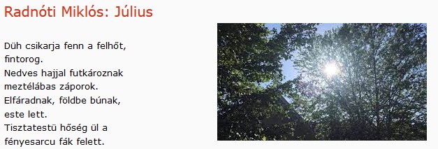 https://margit2.hu/forumba-kepek/413-radnoti-miklos-julius.jpg