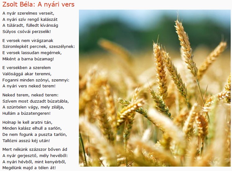 https://margit2.hu/forumba-kepek/416-zsolt-bela-a-nyari-vers.jpg