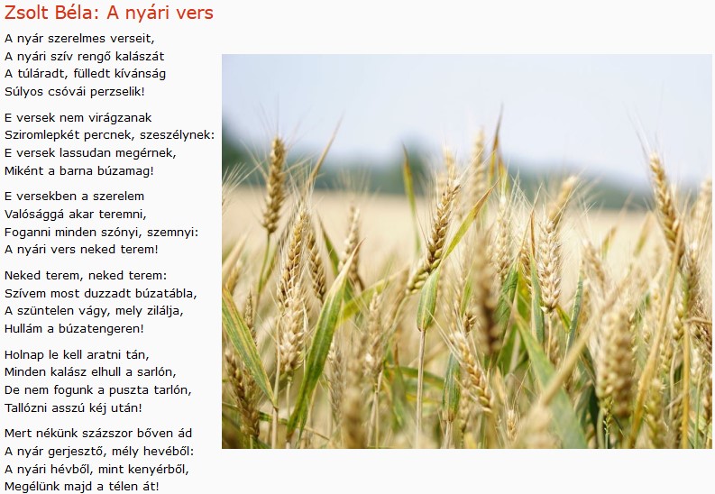 https://margit2.hu/forumba-kepek/420-zsolt-bela-a-nyari-vers.jpg