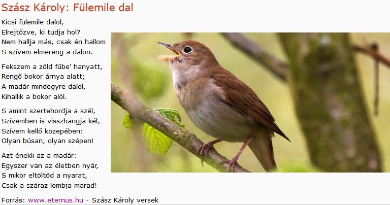 https://margit2.hu/forumba-kepek/422-szasz-karoly-fulemile-dal.jpg