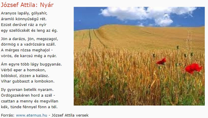 https://margit2.hu/forumba-kepek/423-jozsef-attila-nyar.jpg