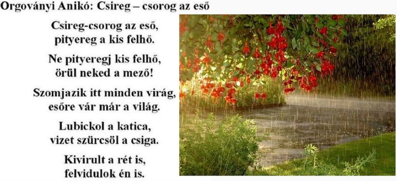 https://margit2.hu/forumba-kepek/426-orgovanyi-aniko-csireg-csorog.jpg
