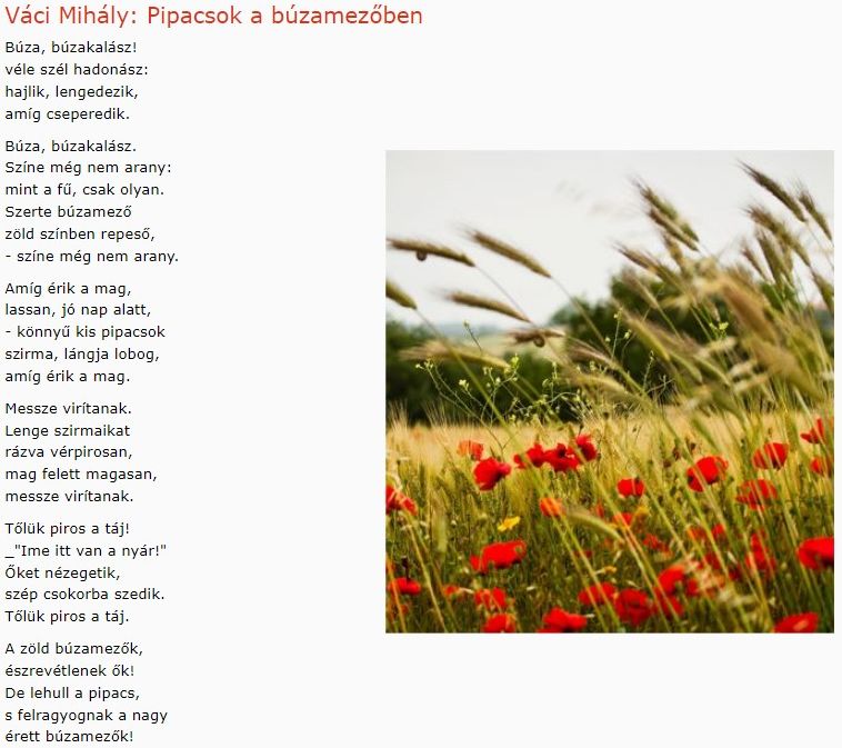 https://margit2.hu/forumba-kepek/431-vaci-mihaly-pipacsok-abuzamezoben.jpg