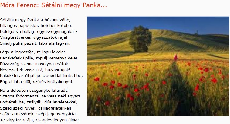 https://margit2.hu/forumba-kepek/433-mora-ferenc-setalni-megy-panka.jpg