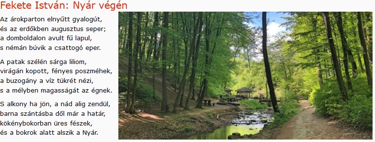 https://margit2.hu/forumba-kepek/440-fekete-istvan-nyar-vegen.jpg