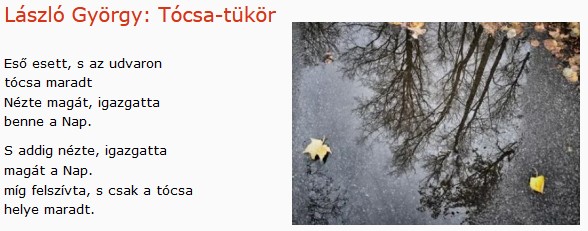 https://margit2.hu/forumba-kepek/442-laszlo-gyorgy-tocsa-tukor.jpg