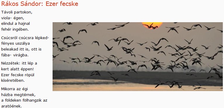 https://margit2.hu/forumba-kepek/448-rakos-sandor-ezer-fecske.jpg