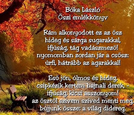 https://margit2.hu/forumba-kepek/452-boka-laszlo-oszi-emlekkonyv.jpg