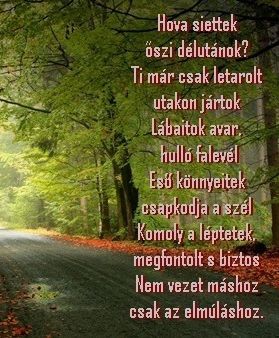 https://margit2.hu/forumba-kepek/456-hova-siettek.jpg